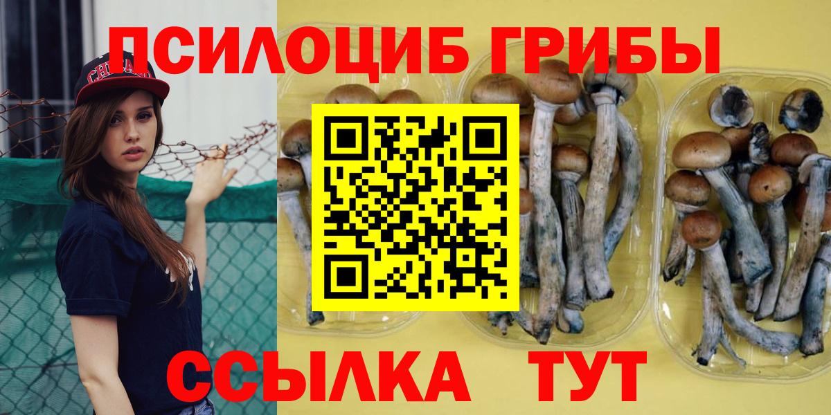 Псилоцибиновые грибы Psilocybe  Вход с VPN  Нововоронеж 